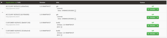 spring-boot-admin-application-details