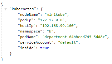 microservices-with-spring-cloud-kubernetes-info