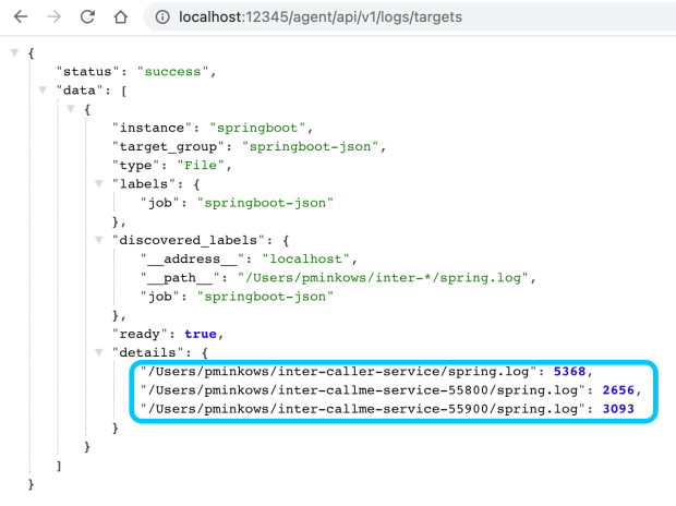 spring-boot-observability-logs
