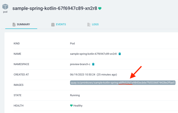 kubernetes-preview-environments-pod
