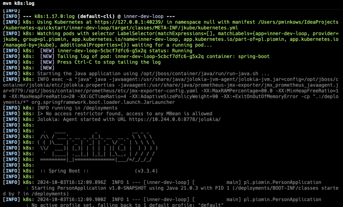 spring-boot-jkube-log