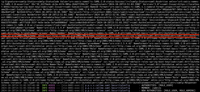 spring-boot-saml2-logs