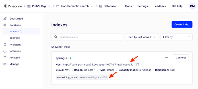 spring-ai-rag-pinecone