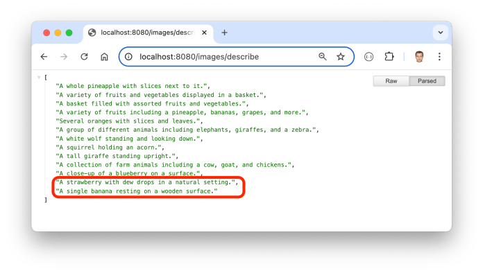 spring-ai-multimodality-image-desc