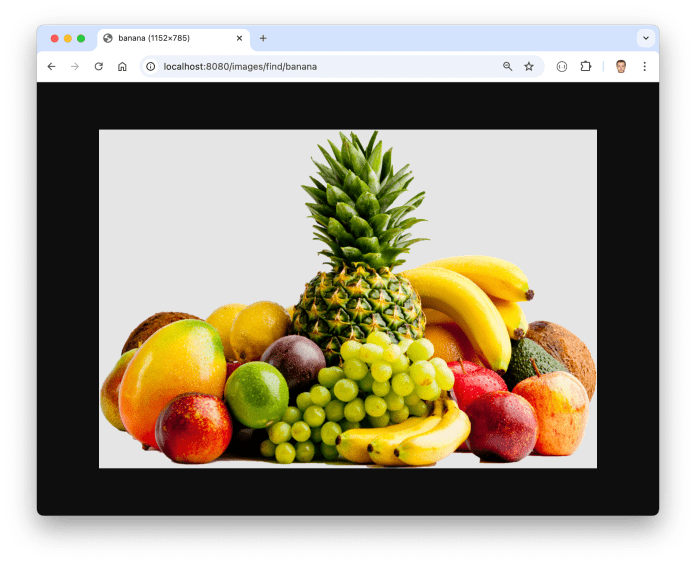 spring-ai-multimodality-find-object