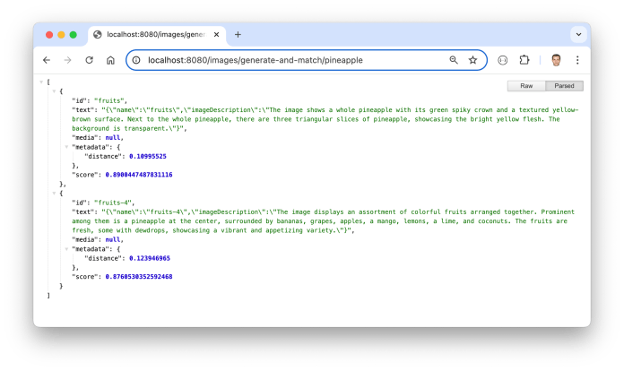 spring-ai-multimodality-vector-store