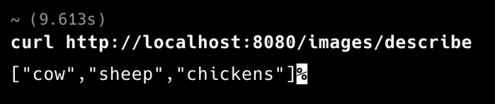 spring-ai-ollama-describe-all-images