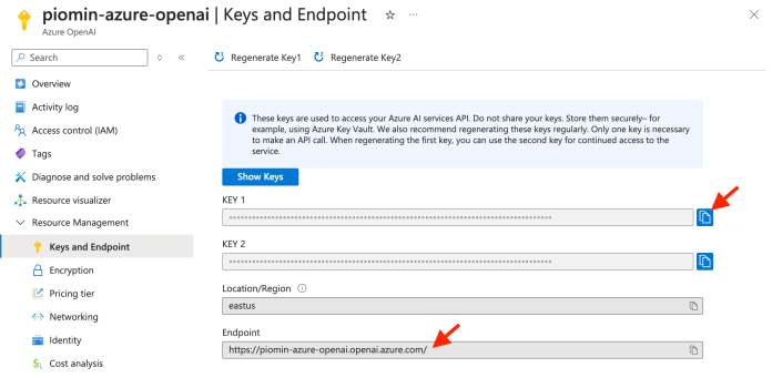 spring-ai-azure-openai-api-key