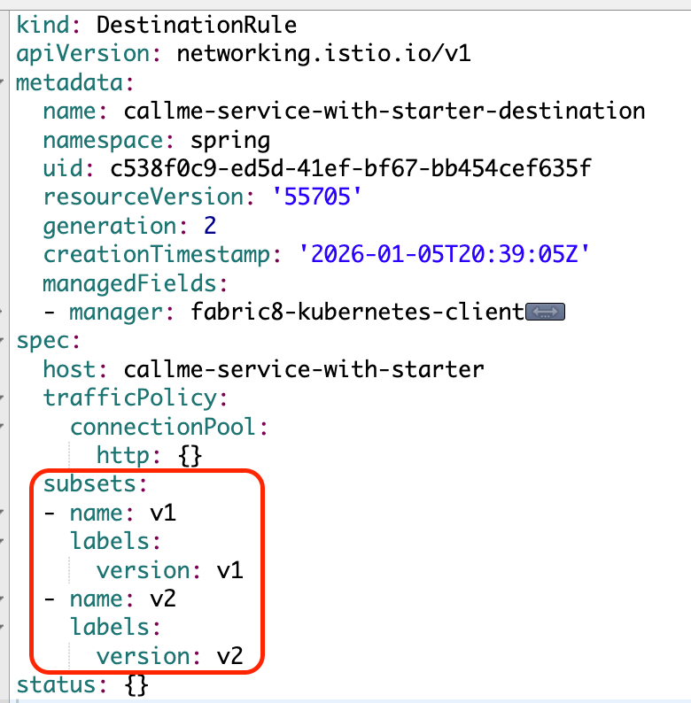 spring-boot-istio-subsets