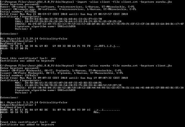 secure-spring-eureka-secure-discovery-4