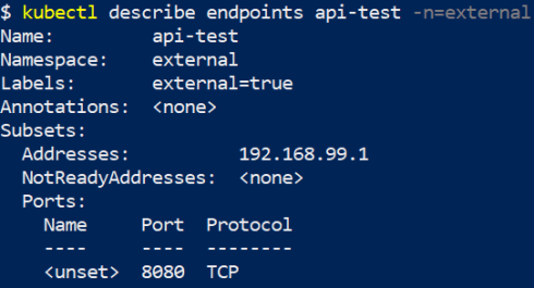 spring-cloud-kubernetes-external-library-endpoints-describe