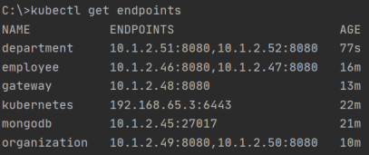 list-of-kubernetes-endpoints